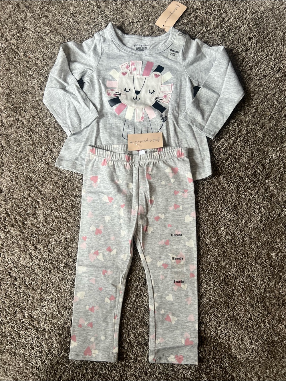 First Impressions Toddler Gray and Pink Lion Pajama Set